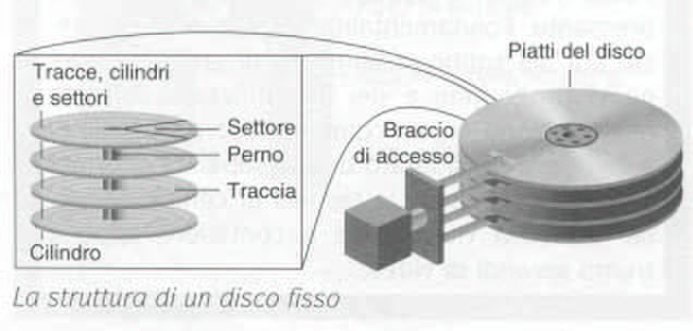 Struttura