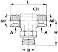 AGRICAMBIO ADATTATORE T MASCHIO CILINDRICO/MASCHIO CILINDRICO/ FEMMINA GIREVOLE BSP ADAPTATEUR T M/M/F TOURNANT BSP TEE ADAPTER CYLINDRICAL MALE/ CYLINDRICAL MALE/CYLINDRICAL MALE/ FEMALE WITH