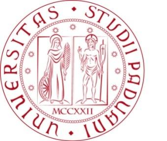 Università degli Studi di Padova Dipartimento di Scienze Statistiche Corso di Laurea Triennale in Statistica e Gestione delle Imprese L I M P O R T A N Z A D E L L A F O R M A Z I O N E S T