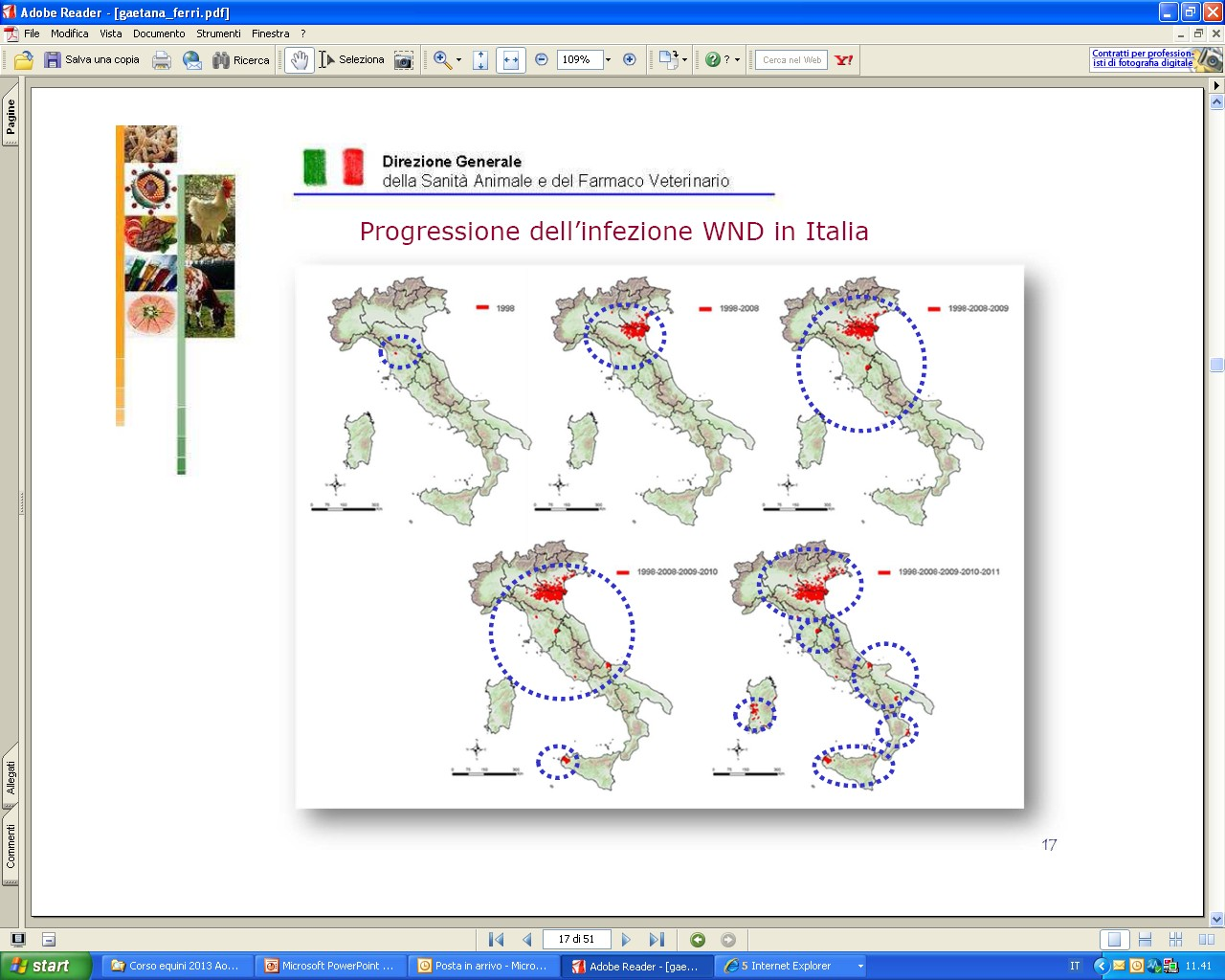 WEST NILE DISEASE L evoluzione