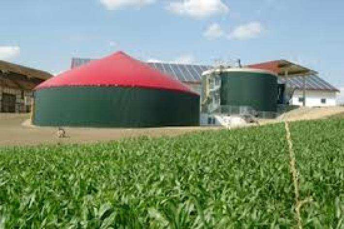 Incontro pubblico a Serre di Rapolano sul biogas - Rapolano Terme, bi... http://ilcittadinoonline.it/news/168103/incontro_pubblico_a_serre_di.