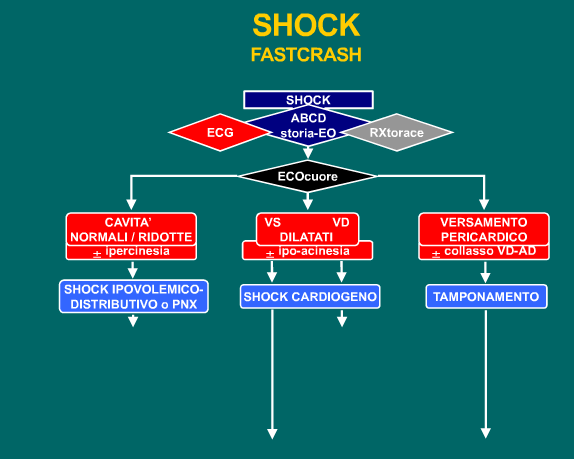 VCI COLLABITA C: Cuore - VCI VCI DILATATA US Torace: Fluido in pleura Drenaggio Pleurico US Addome: Fluido in addome Chirurgia in emergenza Accesso Venoso: Farmaci, liquidi Ventricolo dx dilatato VCI