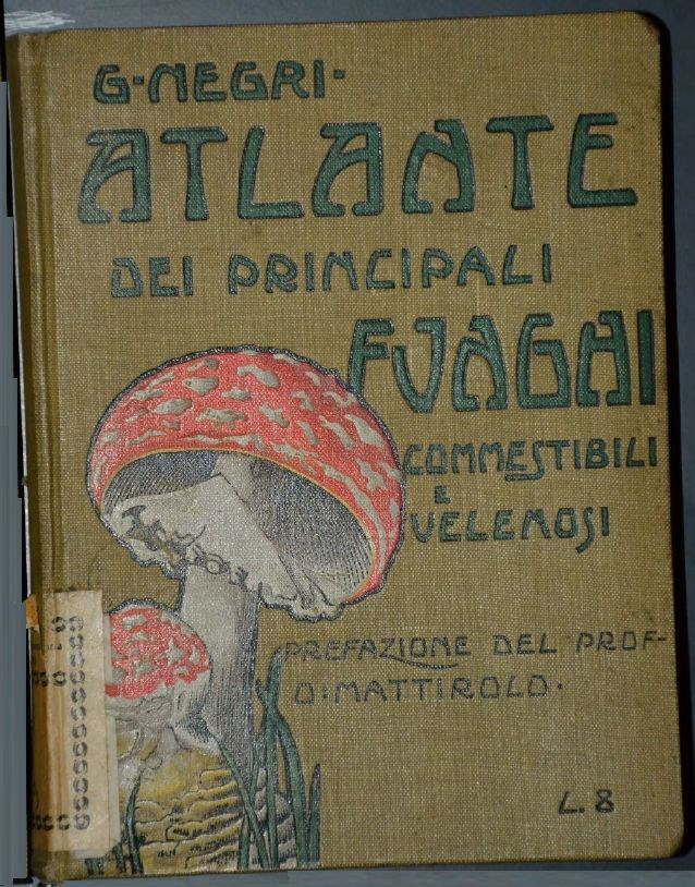 Atlante dei principali funghi commestibili e velenosi Nell opera di Giovanni Negri sono riportate 63