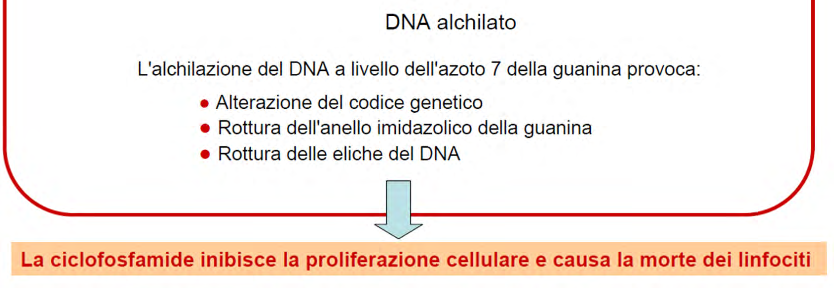 Ciclofosfamide Riduzione linfociti T helper e linfociti B (meno T supressor)