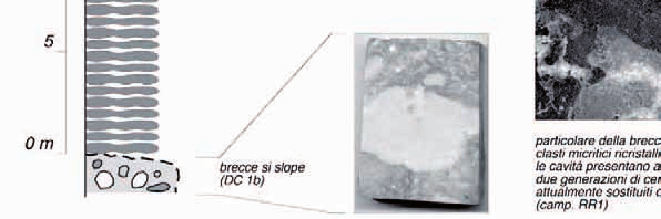 Analisi di facies ed architettura di una piattaforma carbonatica del Carnico: il Settsass/Richthofen Riff 27 Fig. 16.