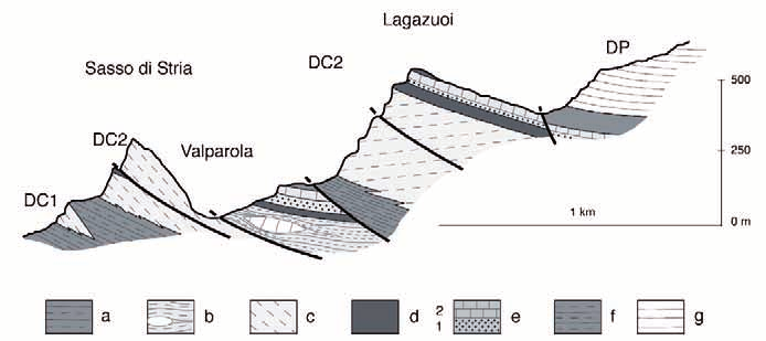 14 Gian Luigi Trombetta Fig. 2. Profilo geologico fra il Sasso di Stria e il Lagazuoi.