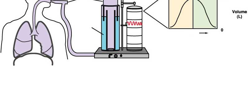 Spirometria: Permette la misura diretta dei volumi respiratori.