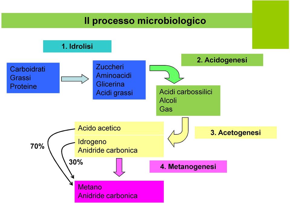 Glicerina Acidi grassi Acidi carbossilici Alcoli Gas 2.