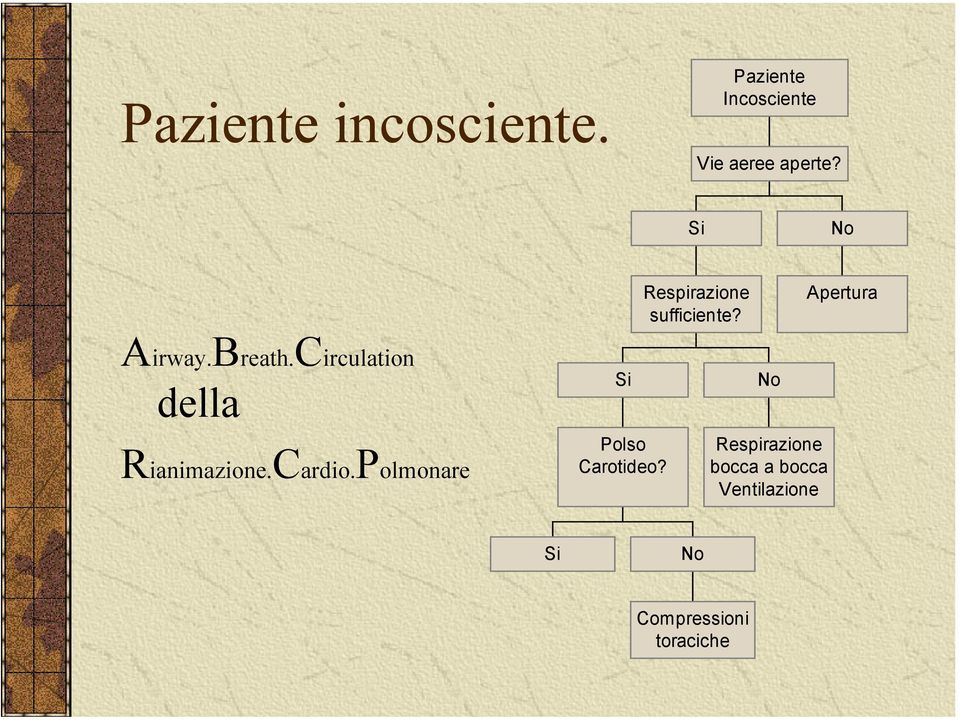 Circulation della Rianimazione.Cardio.