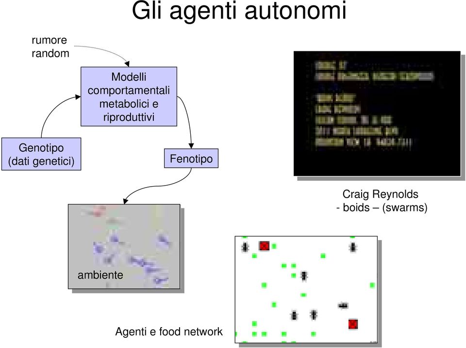 Genotipo (dati genetici) Fenotipo Craig