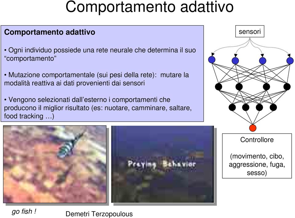 dai sensori Vengono selezionati dall esterno i comportamenti che producono il miglior risultato (es: nuotare,