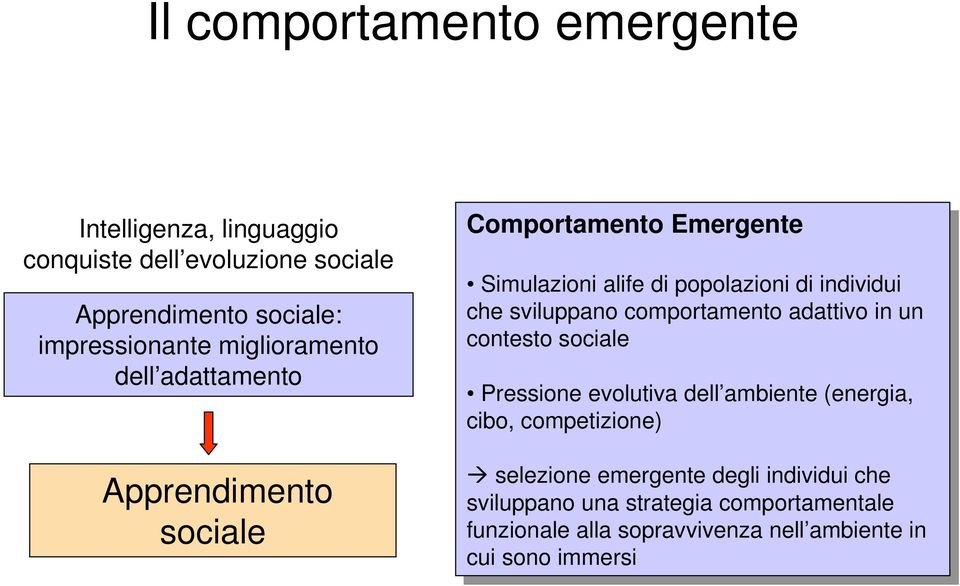 contesto sociale sociale Pressione Pressione evolutiva evolutiva dell ambiente dell ambiente (energia, (energia, cibo, cibo, competizione) competizione) selezione selezione emergente emergente degli