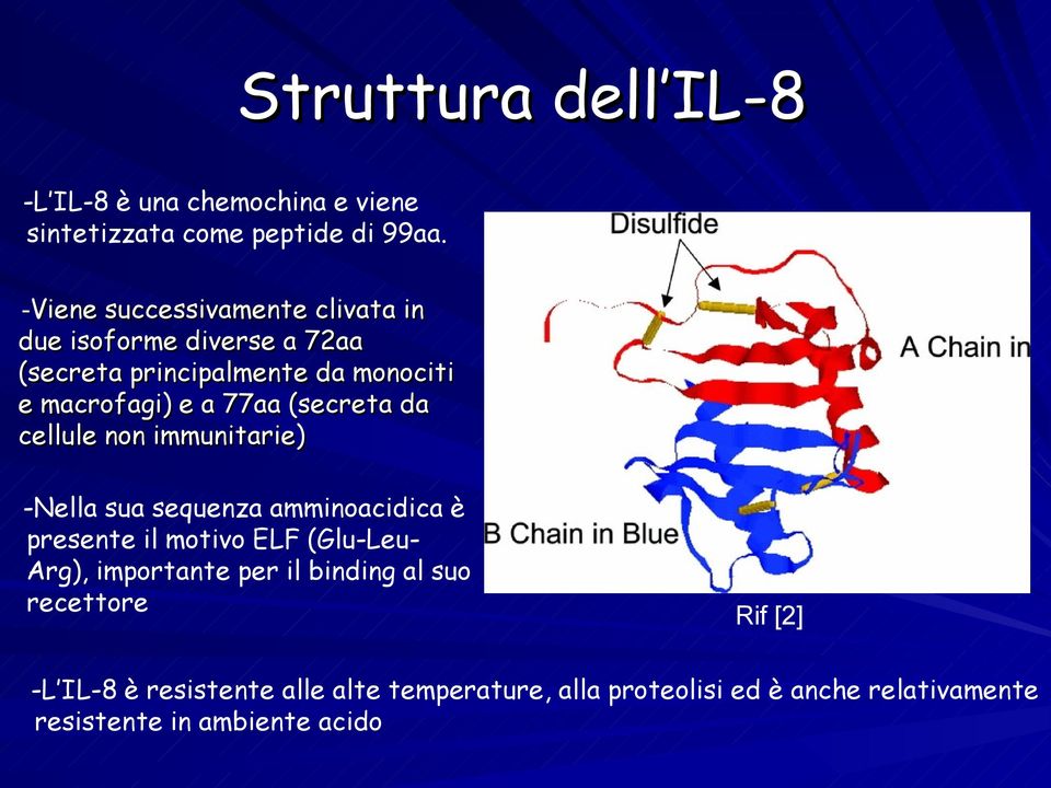 (secreta da cellule non immunitarie) -Nella sua sequenza amminoacidica è presente il motivo ELF (Glu-Leu- Arg),