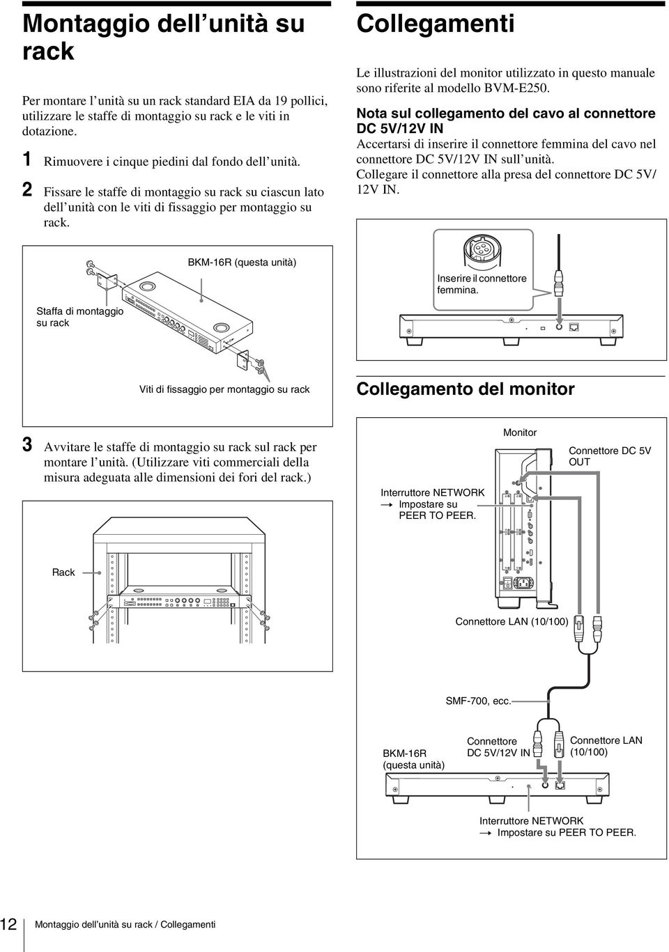 Collegamenti Le illustrazioni del monitor utilizzato in questo manuale sono riferite al modello BVM-E250.