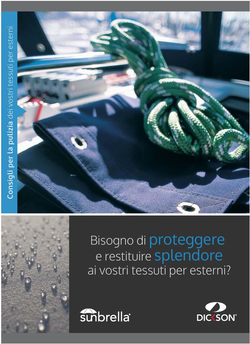 Bisogno di proteggere e