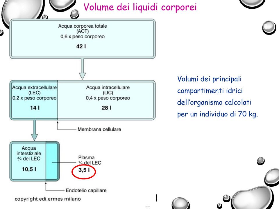 compartimenti idrici dell