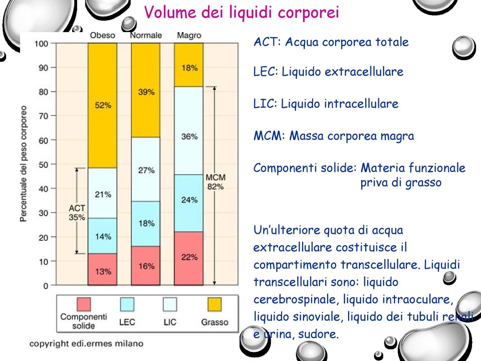 ulteriore quota di acqua extracellulare costituisce il compartimento transcellulare.