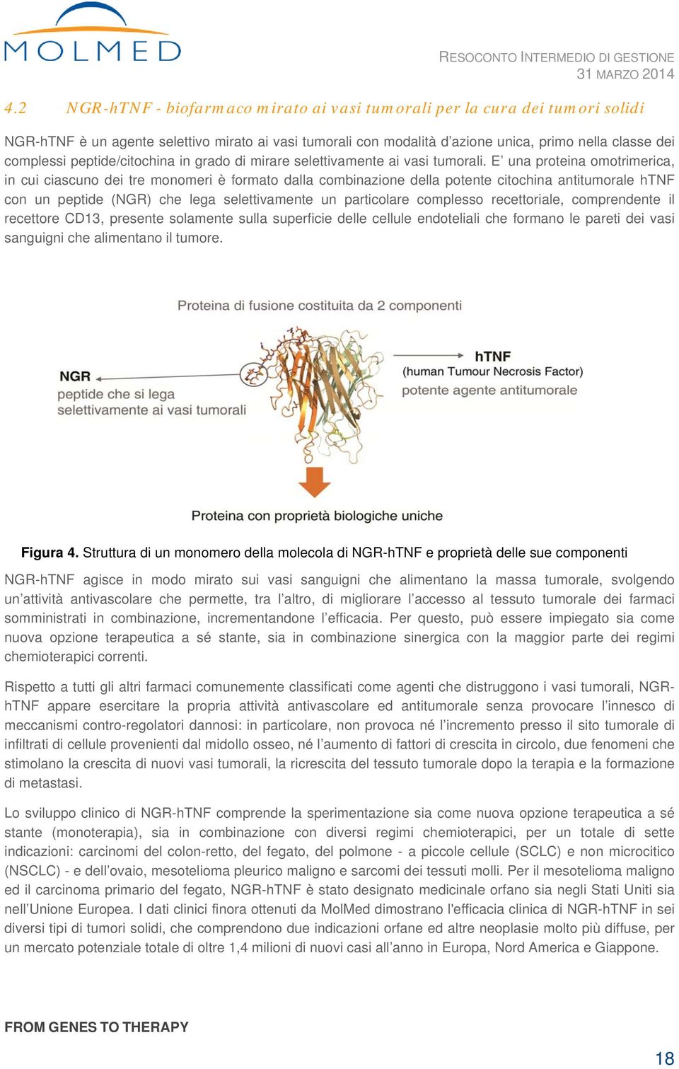 E una proteina omotrimerica, in cui ciascuno dei tre monomeri è formato dalla combinazione della potente citochina antitumorale htnf con un peptide (NGR) che lega selettivamente un particolare