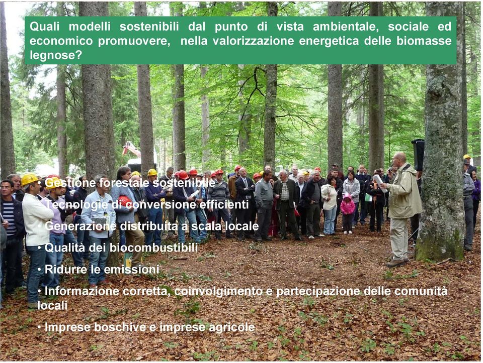 Gestione forestale sostenibile Tecnologie di conversione efficienti Generazione distribuita a scala
