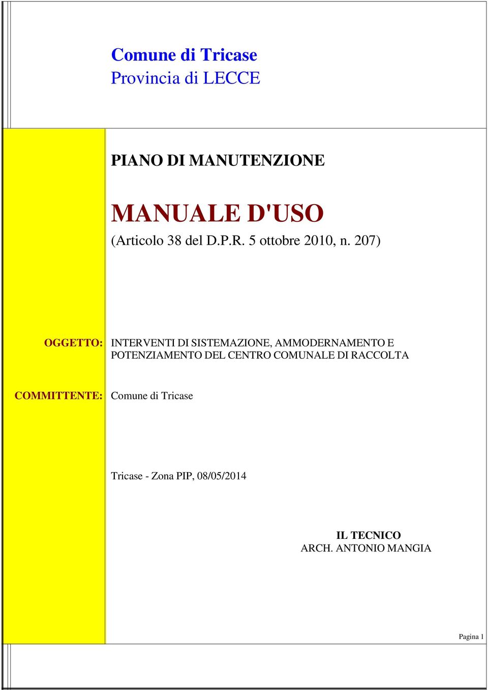 207) OGGETTO: INTERVENTI DI SISTEMAZIONE, AMMODERNAMENTO E POTENZIAMENTO DEL