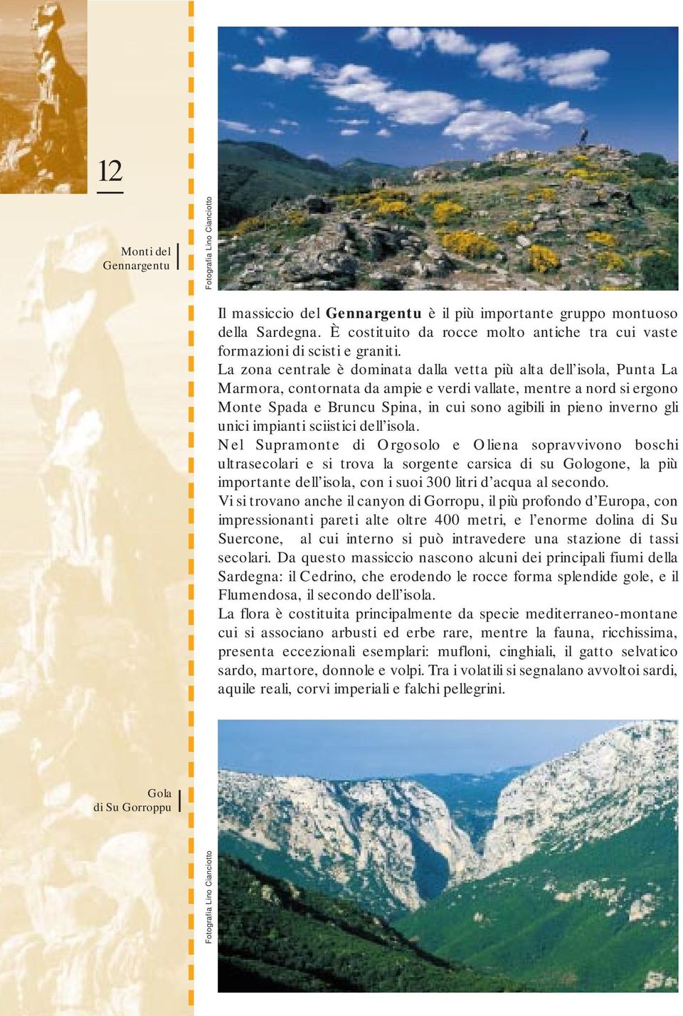 La zona centrale è dominata dalla vetta più alta dell isola, Punta La Marmora, contornata da ampie e verdi vallate, mentre a nord si ergono Monte Spada e Bruncu Spina, in cui sono agibili in pieno