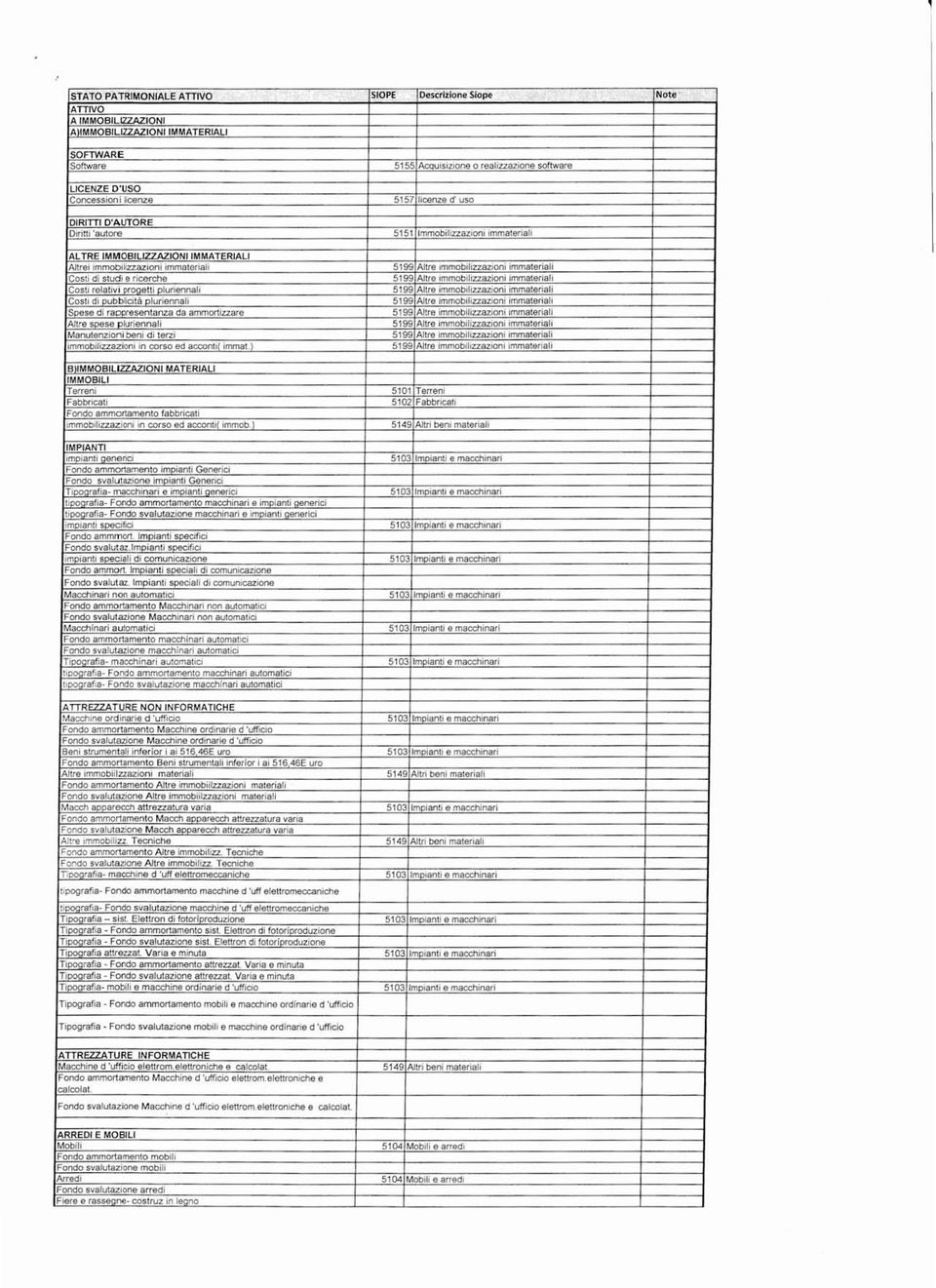 rnmobiliuazioni irnmateriali 5199 Altre immobiliaazioni immateriali 5199 Altre immobiliuazioni imrnateriali 5199 Altre irnmobiliuazioni irnrnateriali 5199 Altre imrnobiliuazioni immateriali