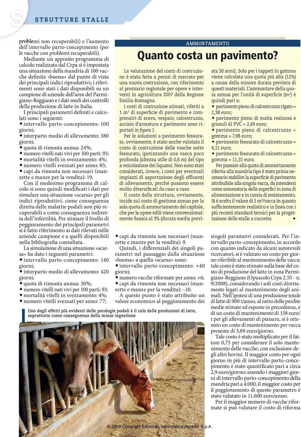 riferimenti sono stati i dati disponibili su un campione di aziende dell area del Parmigiano-Reggiano e i dati medi dei controlli della produzione di latte in Italia.