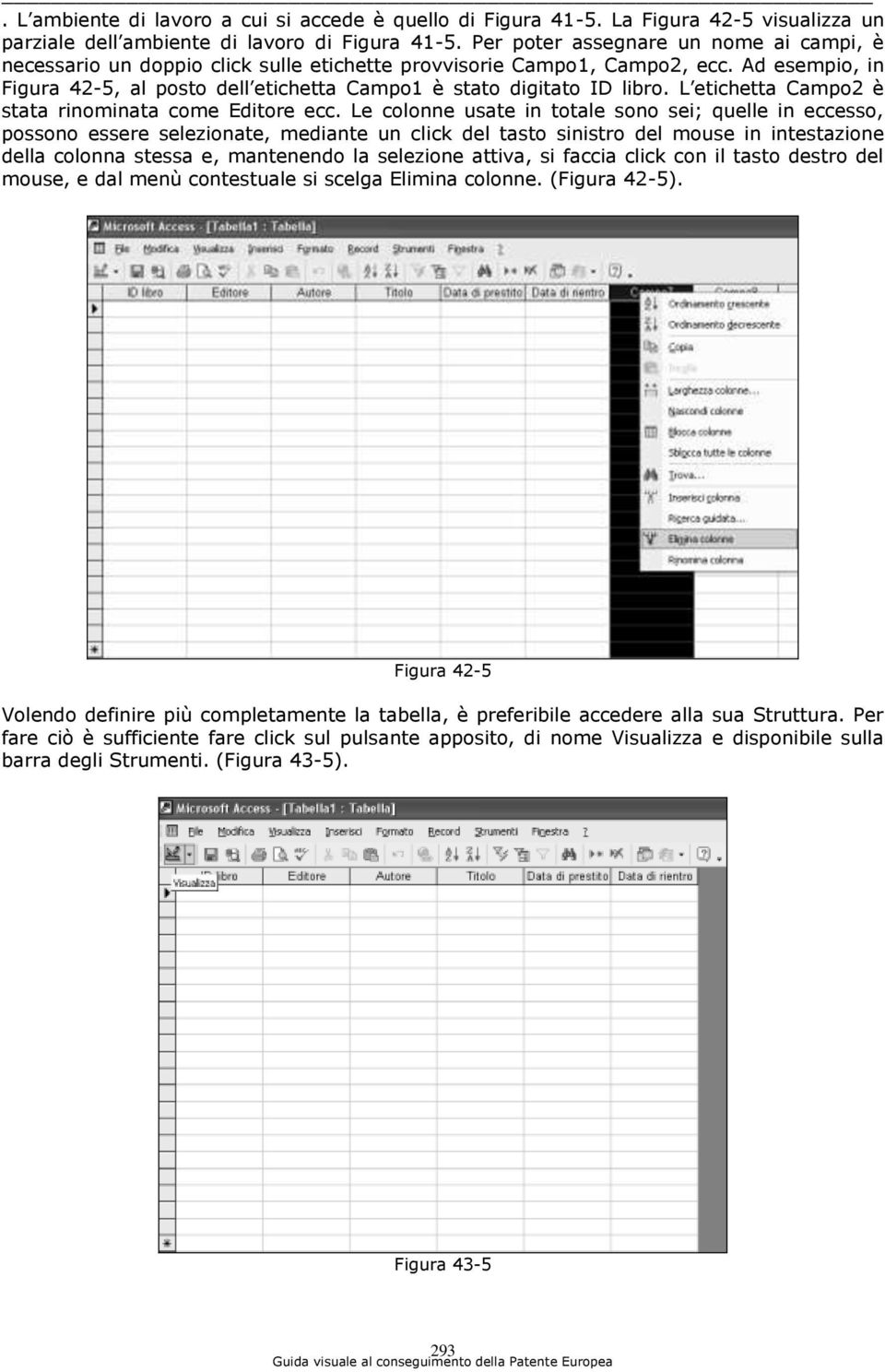 Ad esempio, in Figura 42-5, al posto dell etichetta Campo1 è stato digitato ID libro. L etichetta Campo2 è stata rinominata come Editore ecc.