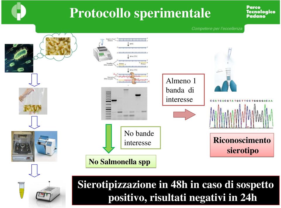 Riconoscimento sierotipo Sierotipizzazione in