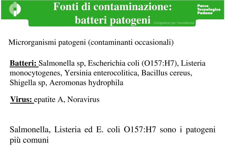enterocolitica, Bacillus cereus, Shigella sp, Aeromonas hydrophila Virus: epatite A,