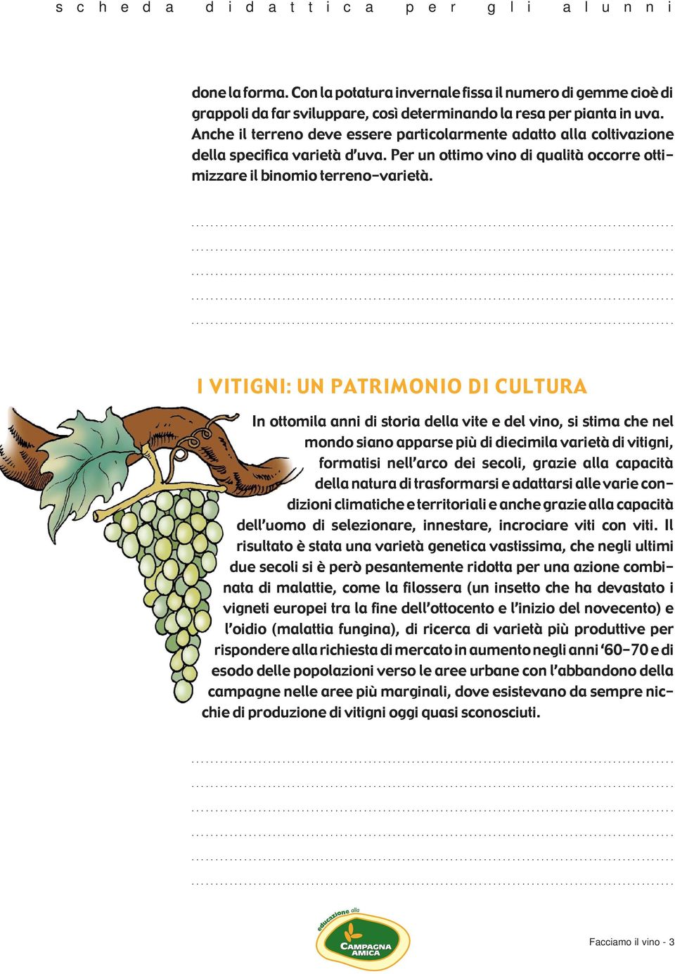 I VITIGNI: UN PATRIMONIO DI CULTURA In ottomila anni di storia della vite e del vino, si stima che nel mondo siano apparse pi di diecimila varietˆ di vitigni, formatisi nellõarco dei secoli, grazie