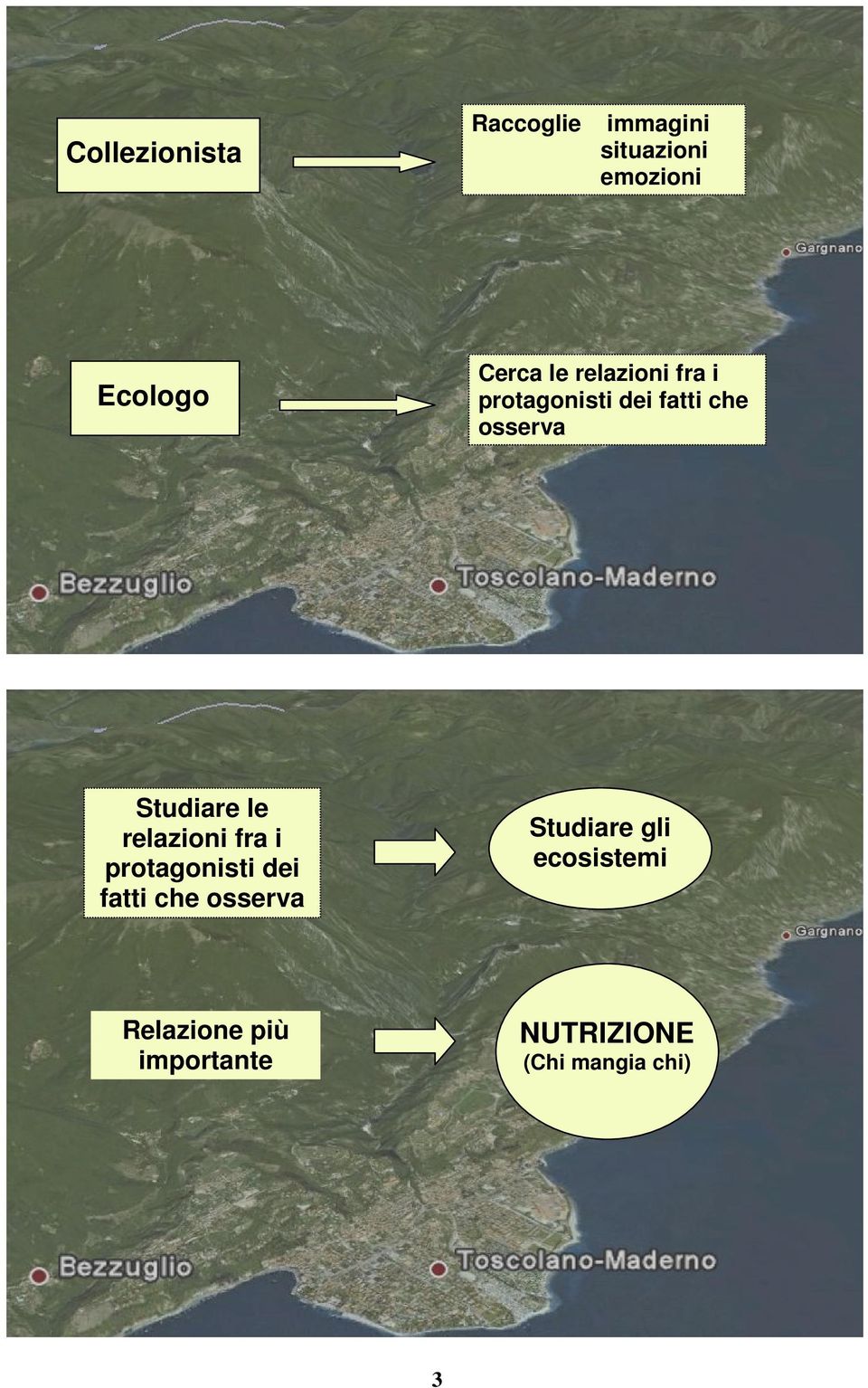 Studiare le relazioni fra i protagonisti dei fatti che osserva