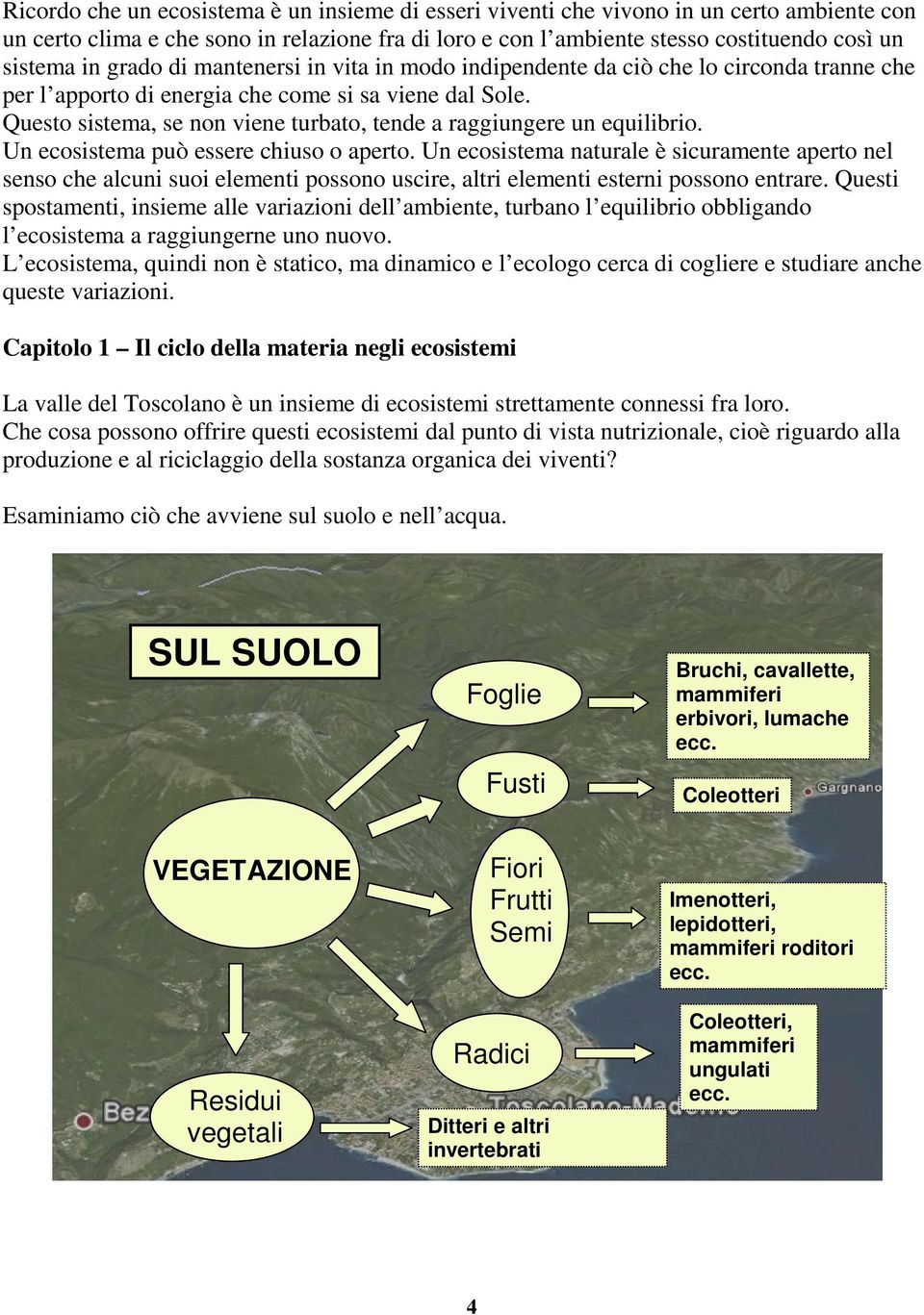 Questo sistema, se non viene turbato, tende a raggiungere un equilibrio. Un ecosistema può essere chiuso o aperto.