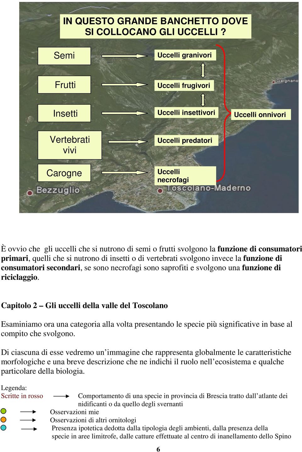 o frutti svolgono la funzione di consumatori primari, quelli che si nutrono di insetti o di vertebrati svolgono invece la funzione di consumatori secondari, se sono necrofagi sono saprofiti e