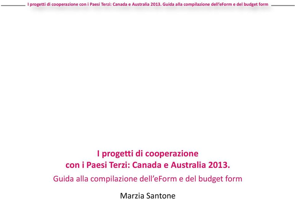 2013. Guida alla compilazione dell