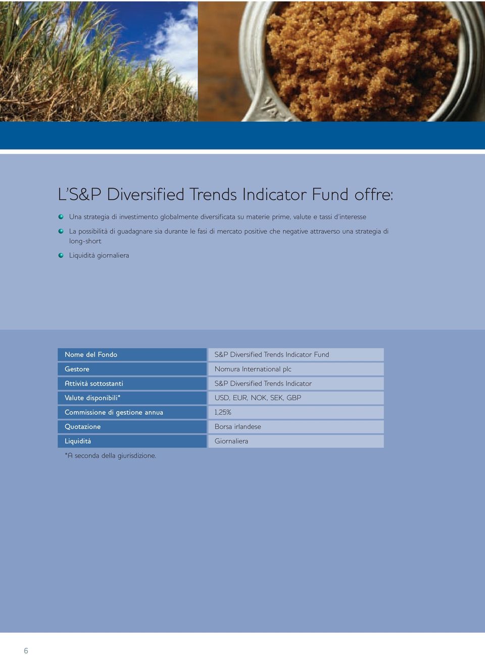 del Fondo Gestore Attività sottostanti Valute disponibili* S&P Diversified Trends Indicator Fund Nomura International plc S&P Diversified Trends