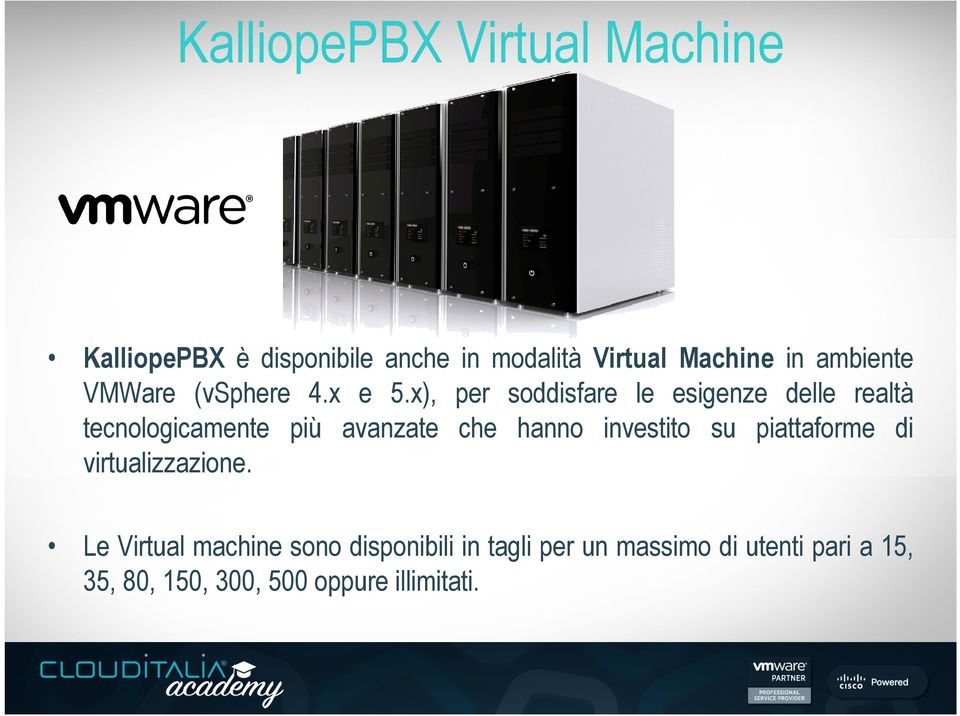 x), per soddisfare le esigenze delle realtà tecnologicamente più avanzate che hanno investito