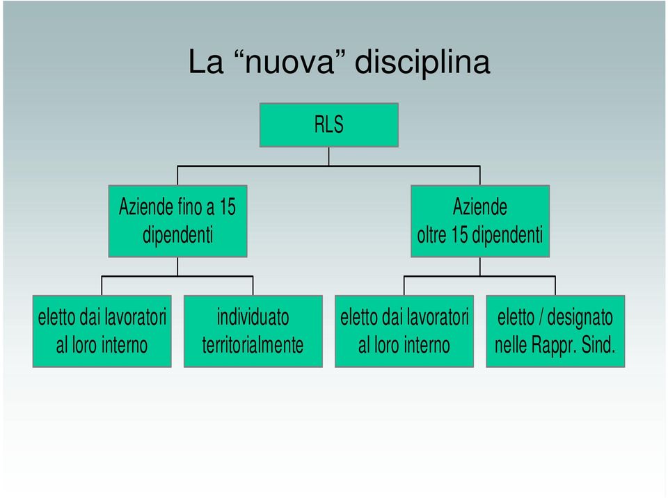 loro interno individuato territorialmente eletto dai