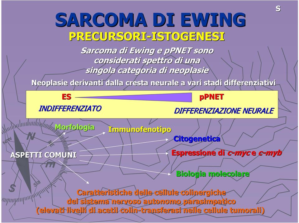 Immunofenotipo ppnet DIFFERENZIAZIONE NEURALE Citogenetica Espressione di c-myc e c-myb Biologia molecolare