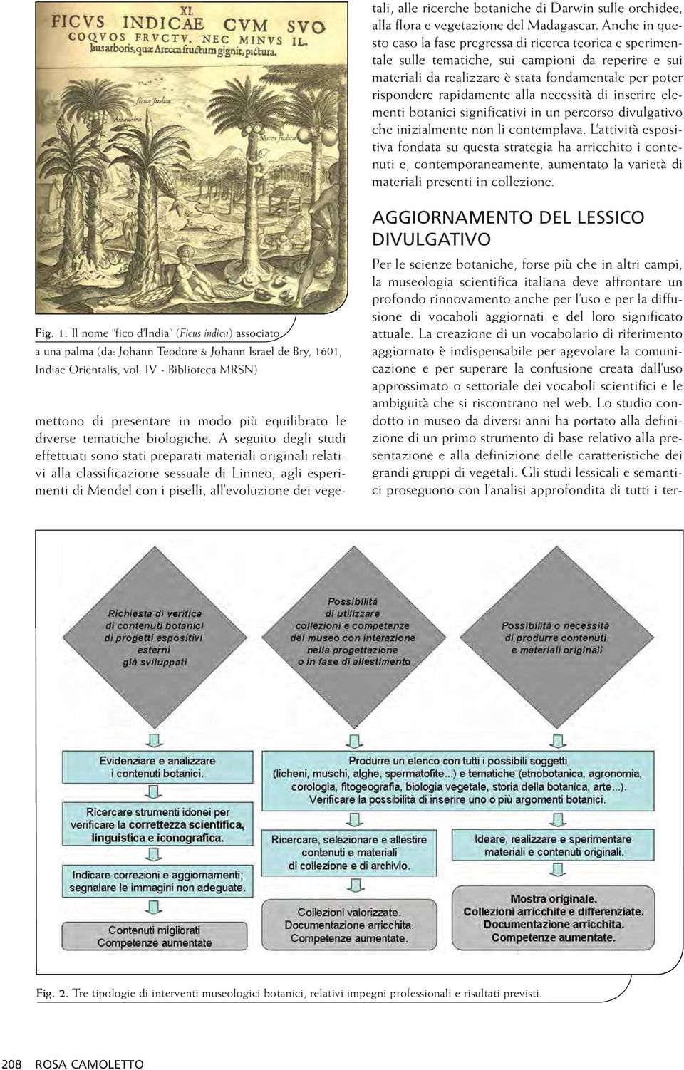 alla necessità di inserire elementi botanici significativi in un percorso divulgativo che inizialmente non li contemplava.