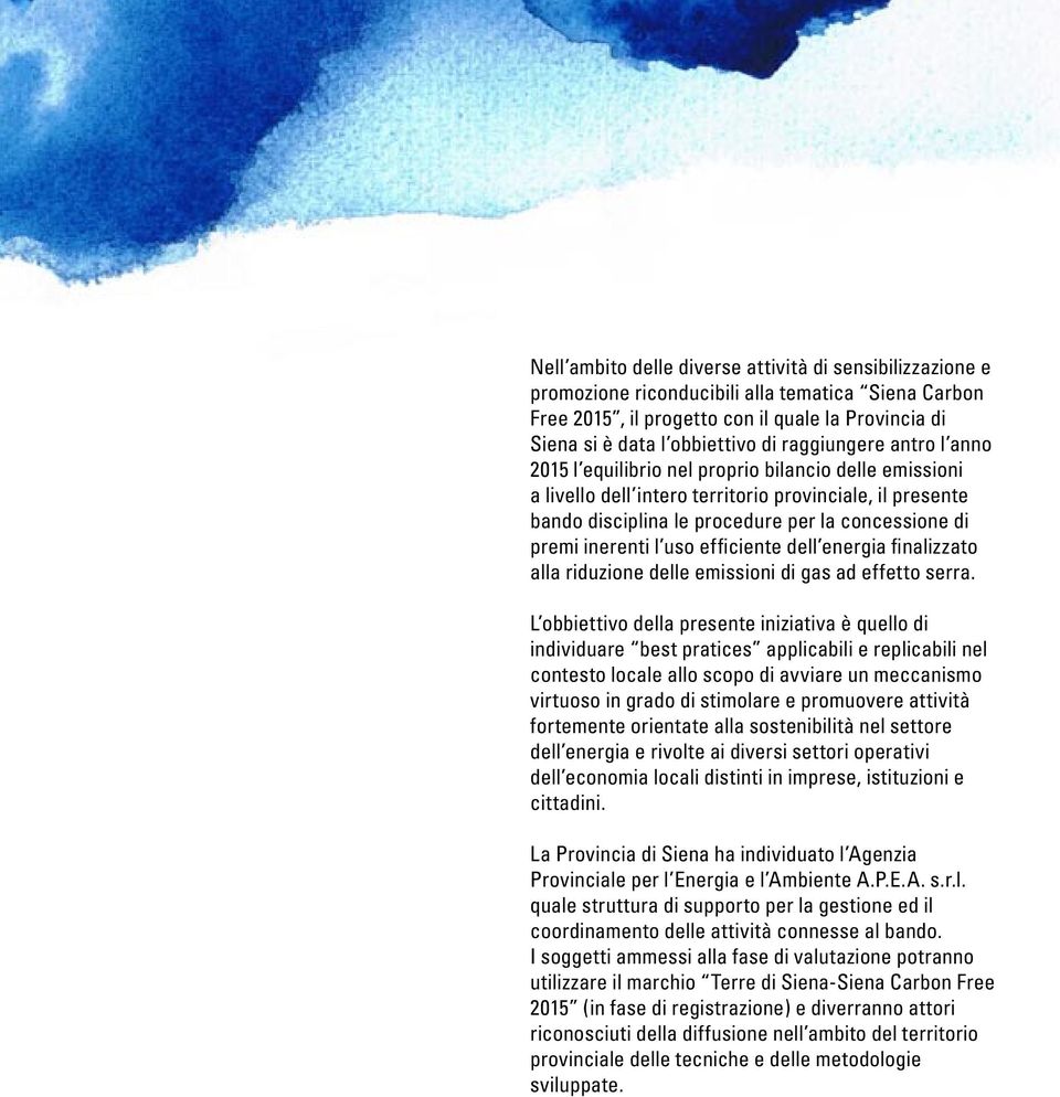 inerenti l uso efficiente dell energia finalizzato alla riduzione delle emissioni di gas ad effetto serra.