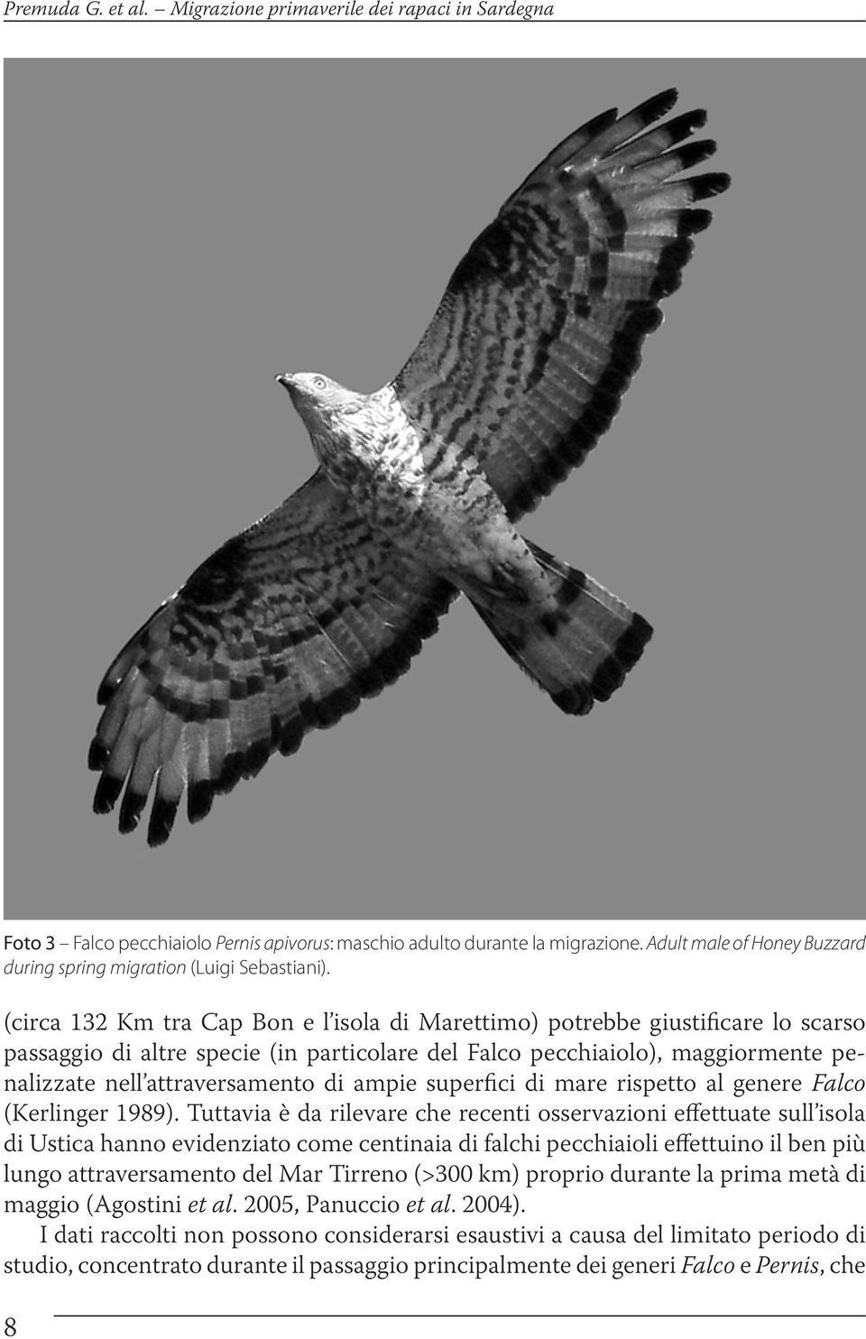 (circa 132 Km tra Cap Bon e l isola di Marettimo) potrebbe giustificare lo scarso passaggio di altre specie (in particolare del Falco pecchiaiolo), maggiormente penalizzate nell attraversamento di