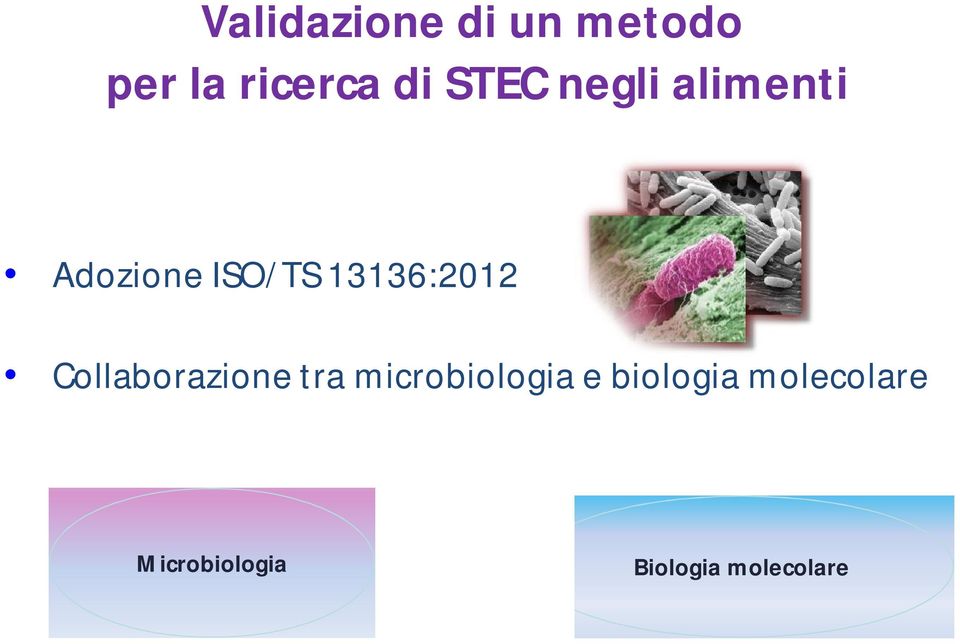 13136:2012 Collaborazione tra microbiologia