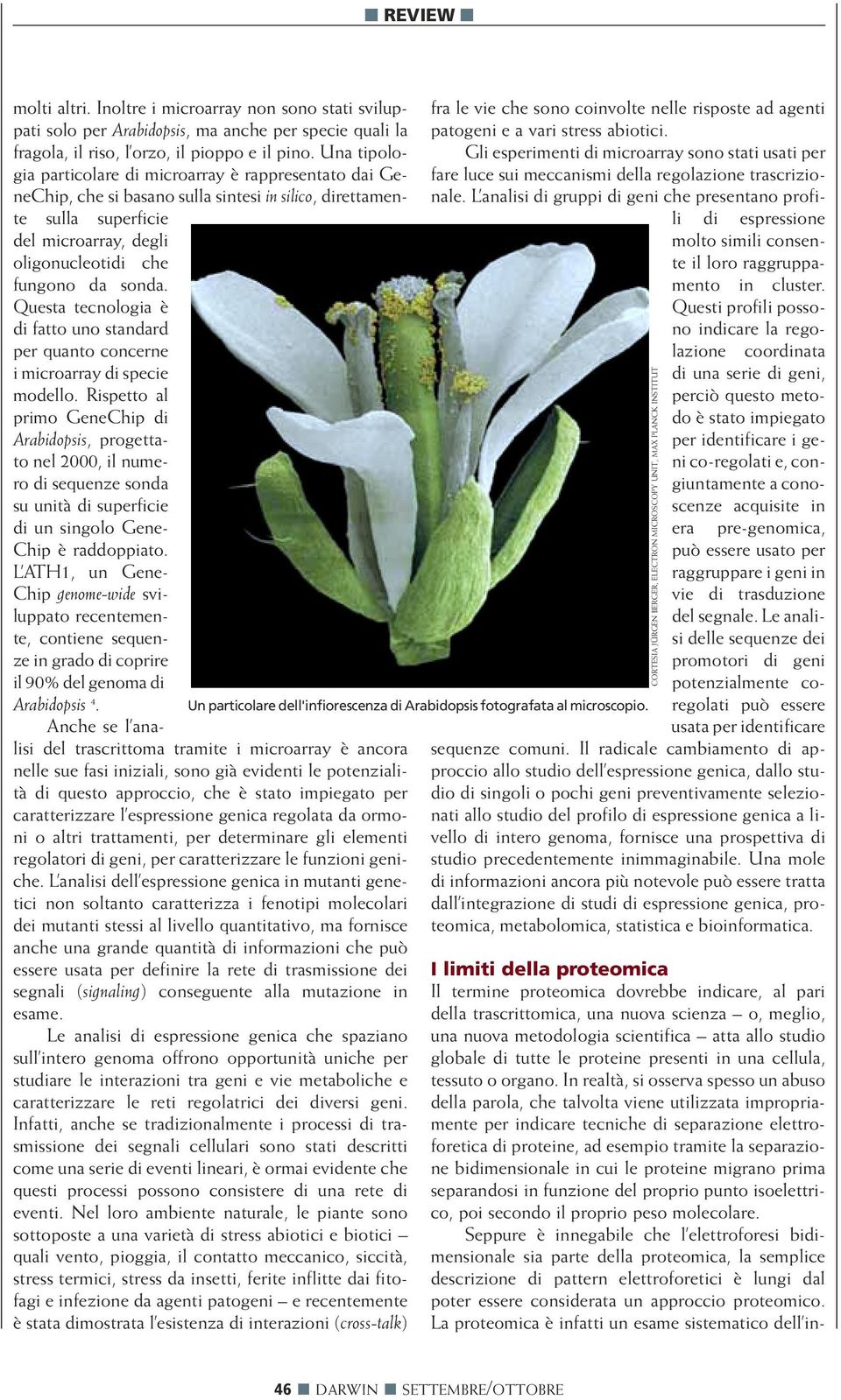 Questa tecnologia è di fatto uno standard per quanto concerne i microarray di specie modello.