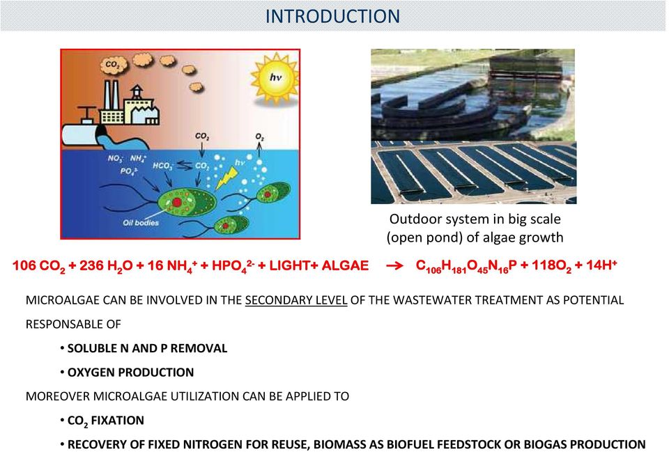 AND P REMOVAL OXYGEN PRODUCTION MOREOVER MICROALGAE UTILIZATION CAN BE APPLIED TO CO 2 FIXATION Outdoor system in big