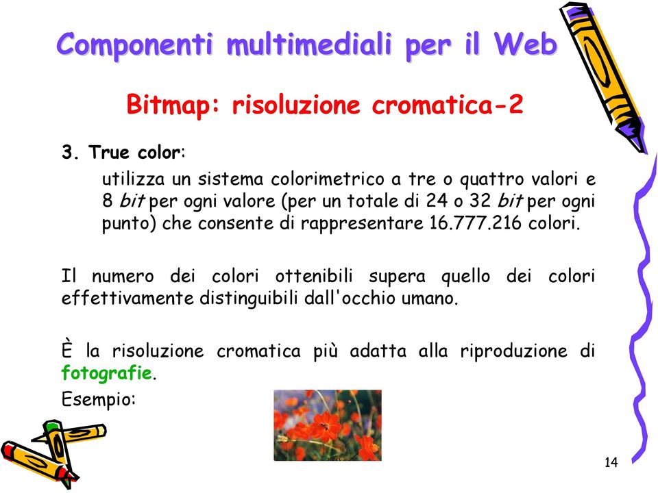 rappresentare 16.777.216 colori.