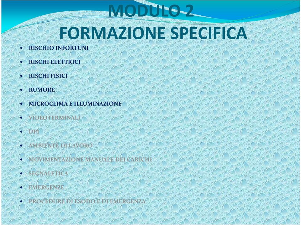 VIDEOTERMINALI DPI AMBIENTE DI LAVORO MOVIMENTAZIONE MANUALE