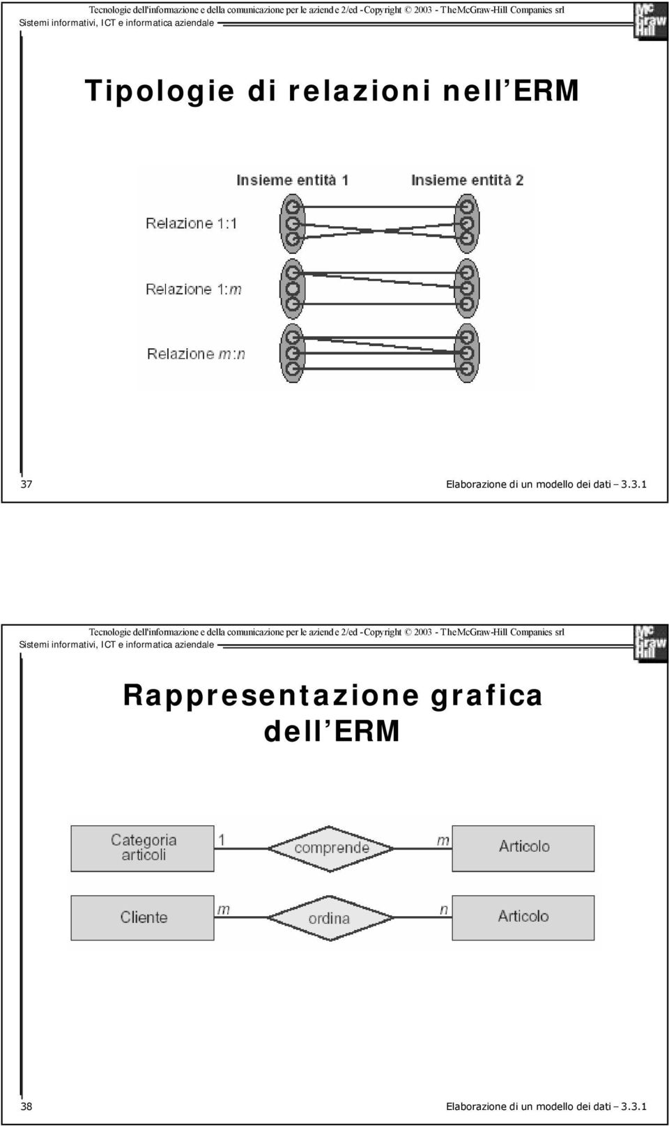 3.1 Rappresentazione grafica dell ERM