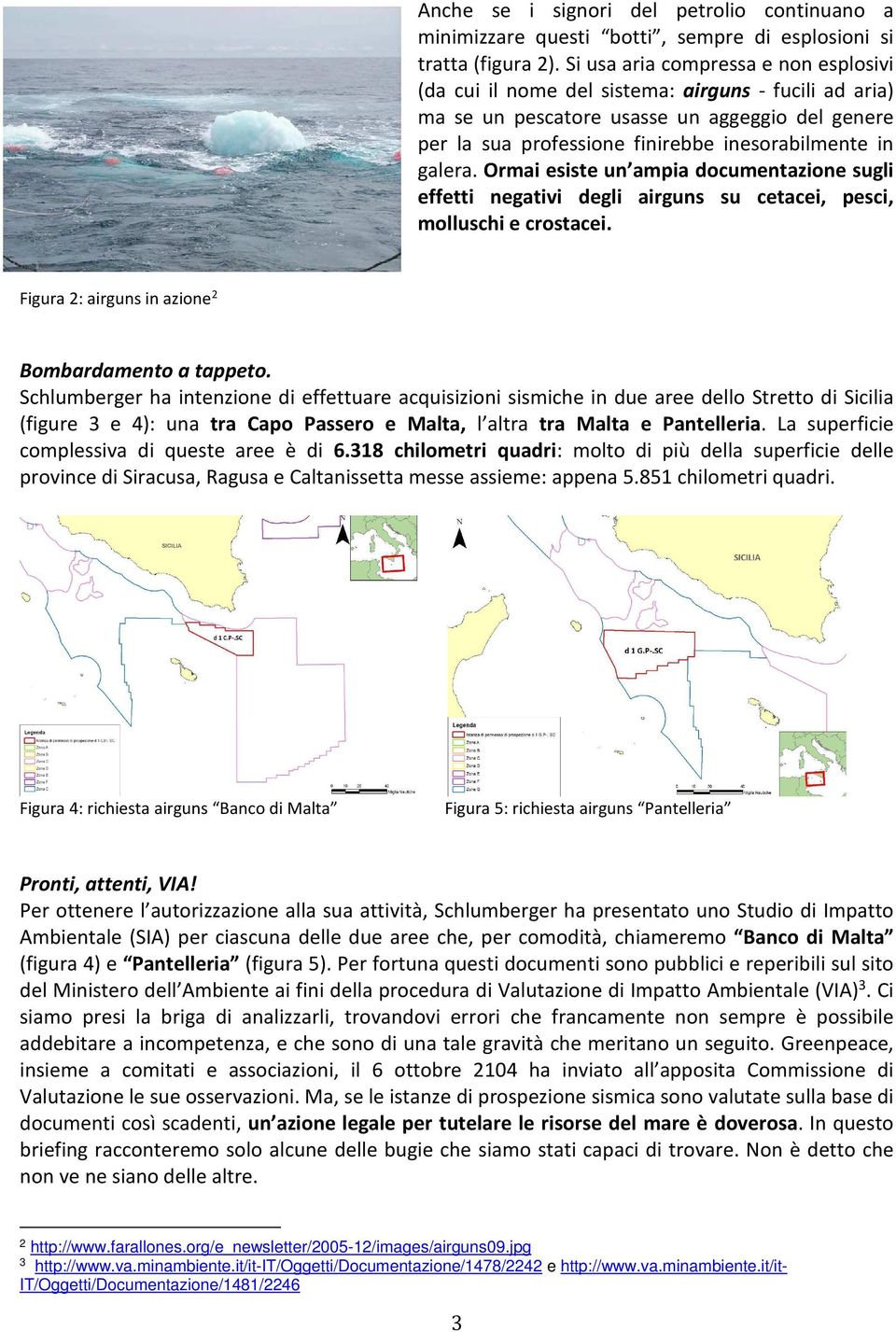 galera. Ormai esiste un ampia documentazione sugli effetti negativi degli airguns su cetacei, pesci, molluschi e crostacei. Figura 2: airguns in azione 2 Bombardamento a tappeto.