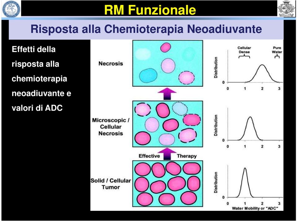 Effetti della risposta alla